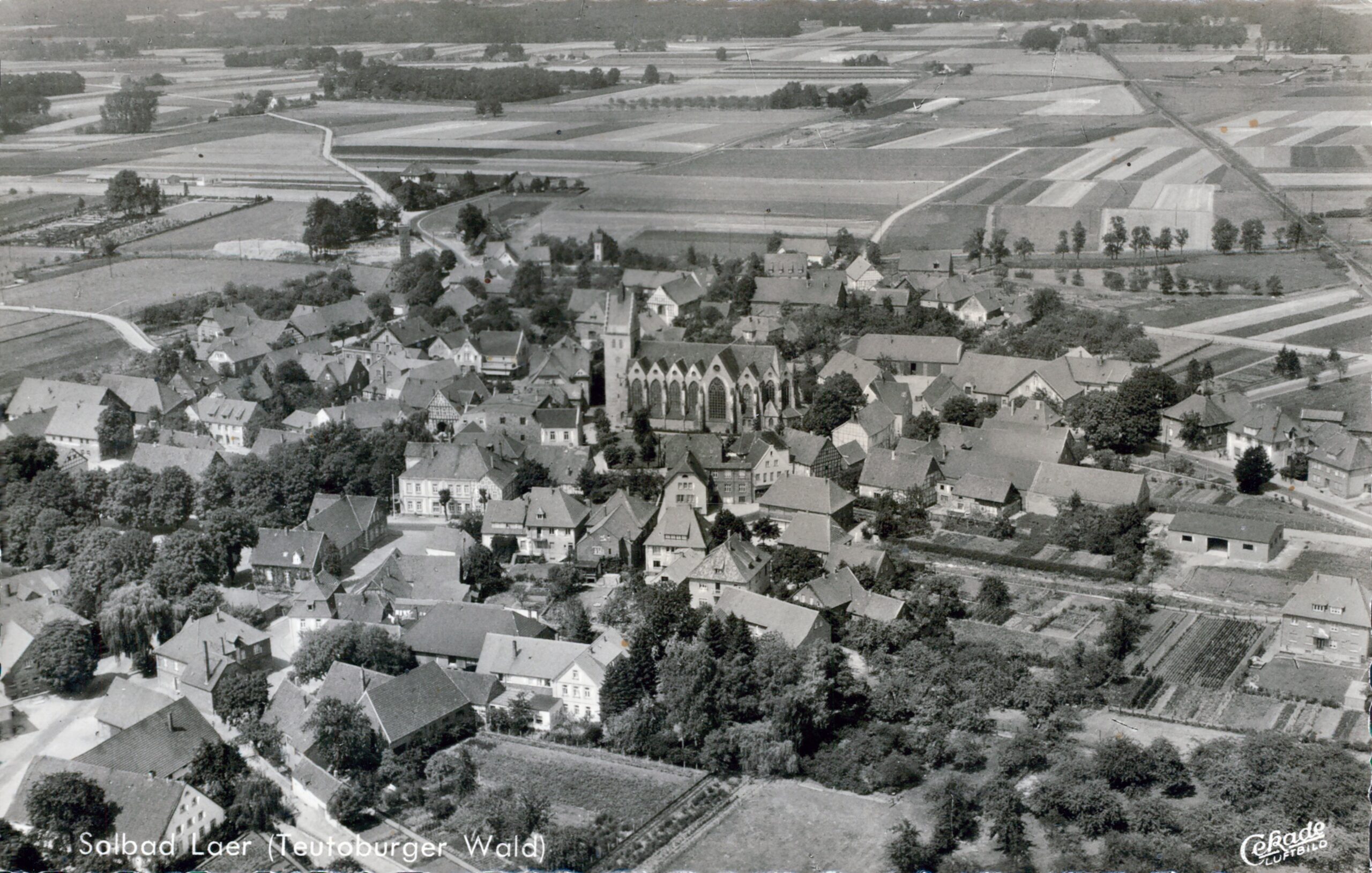 Solbad Laer wächst